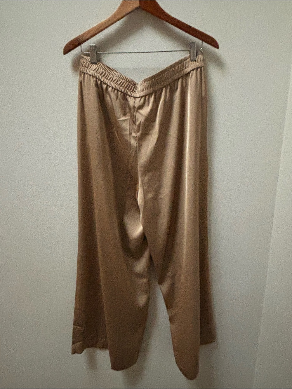 Ann Taylor Wide-Leg Elastic Waist Men's Pants in Tan